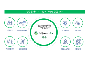 K-System ACE 공공