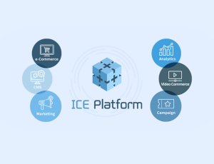 ICE Platform