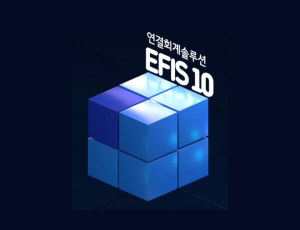 EFIS 10