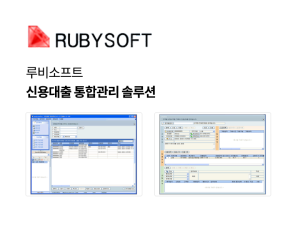 신용대출 통합관리 솔루션