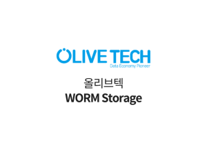 WORM Storage