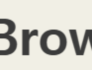 W-Browser