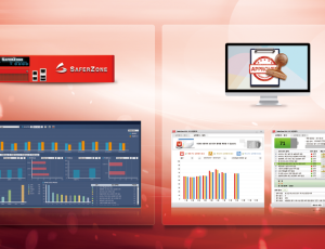 SAFERZONE PC 보안평가