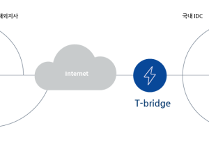 T-bridge