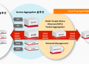 인프라솔루션 - 캐리어이더넷 & 패킷광전송 | Ciena