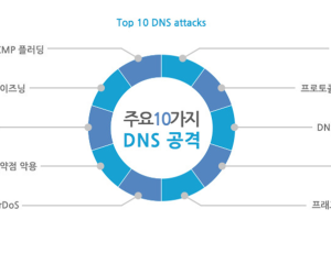 보안솔루션 - 외부 DNS 보안 | Infoblox ADP