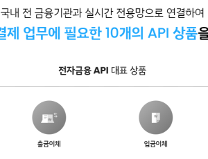 페이먼트서비스-전자금융API